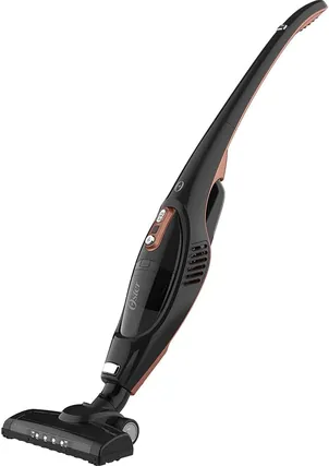 Oster Duo Clean 2 em 1 OASP651